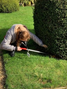 Girl picking up litter with litter pickers from under a hedge during DoE